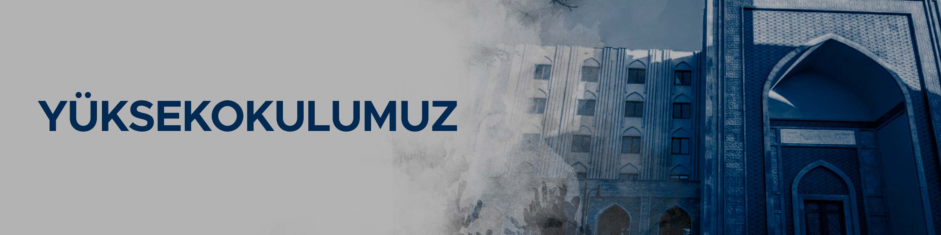 Yüksek Okullar